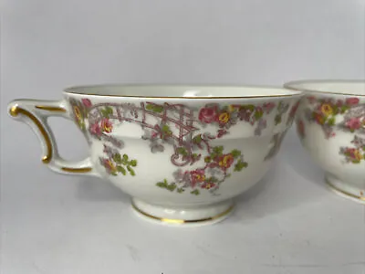 Limoges Footed Tea Cup TRELLIS Pattern Vintage Floral Haviland France Set Of 2 • £18.99