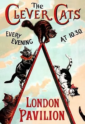 Victorian London Pavilion Music Hall Act - The Clever Cats A3 Poster Reprint • £5.38