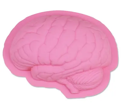 Halloween Silicone Big Zombie Brain Smash Cake Mould Mold / Jelly Pudding Mould • $24.99