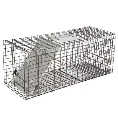  24  32   Live Animal Trap Large Rodent Cage Double Size For Little Pets • $33.58