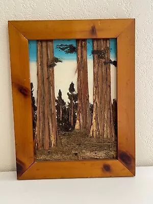 Vintage Japanese Mixed Media Tree Bark Collage Painting • $50