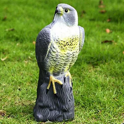 Garden Bird Deterrent Pest Control Sitting Falcon Decoy Scarer Lawn Pond 40cm • £14.99