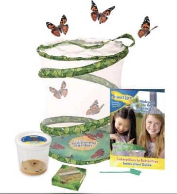 £19.99 • Buy Real Butterfly Garden Insect Lore Watch Them Grow