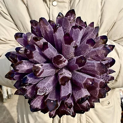 10.9LB New Find Purple Phantom Quartz Crystal Cluster Mineral Specimen Healing • $0.99