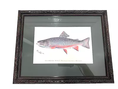 Vintage Original Denton Lake Trout Fish Print Framed / Matted 17.5 X 14.5 • $59.49