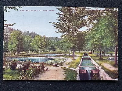 St Paul Minnesota MN Fish Hatchery 1908 Antique Real Photo Postcard • $2.99