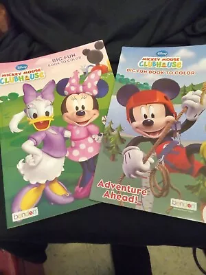 Setof 2 Mickey And Minnie Mouse Coloring Books • $5