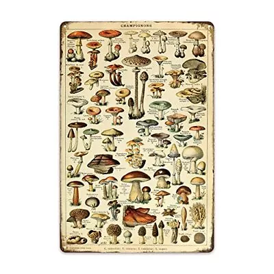 Mushroom Metal Tin Sign - 8x12 Inch Vintage Poster For Rustic Wall Decor • $14.48