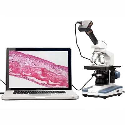 AmScope 40X-2000X LED Monocular Compound Microscope + 3D Stage + 1.3MP Camera • $314.99