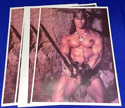 LOT Of(12)vintage Conan Barbarian-Arnold Schwarzenegger CARNIVAL POSTER UNUSED • $24.99