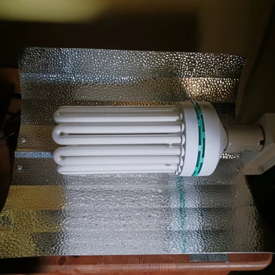 £35 • Buy Cfl Grow Light And Reflector And Ballast 