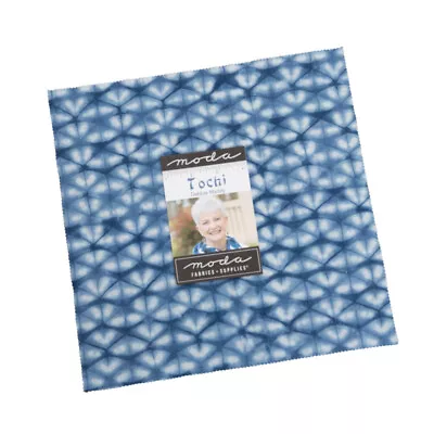 Tochi Layer Cake Debbie Maddy Moda Fabrics (42) 10 Inch Squares • $39.50