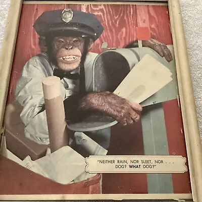 Vintage Magazine Monkey Print In 8 X 10 Frame • $11.99