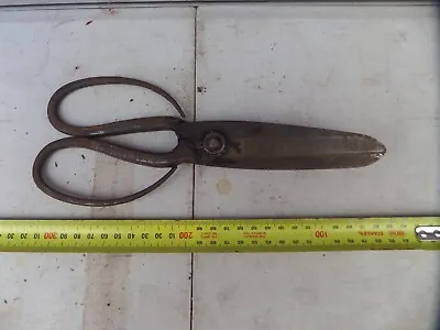Large Pair Of Japanese Vintage Antique Old Scissors • $40