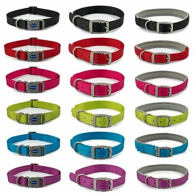 Ancol Viva Dog Puppy Nylon Collars Quick Fit Buckle Neoprene Padded 6 Colours • £4.60