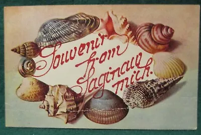 Estate Sale ~ Vintage Postcard - Souvenir From Saginaw Mich. - 1909 • $3