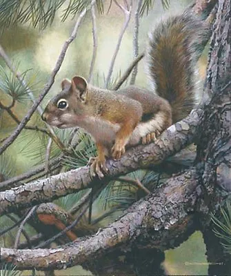 Carl Brenders SOCIAL CLIMBER Grey Squirrel Art Print ARTIST PROOF A/P #5/76 • $114