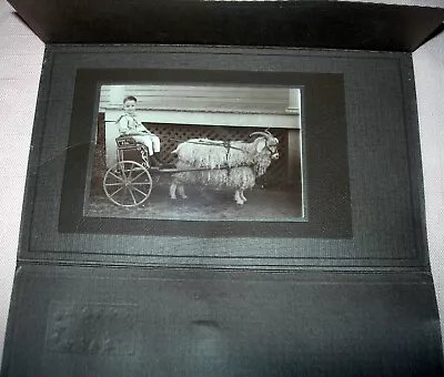 Vtg Photo Card Child In Ornate Cart Being Pulled By Angora Billy Goat Early 20th • $8.99