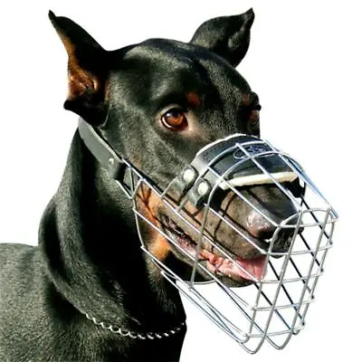 £55.08 • Buy Large Doberman Dog Muzzle Size That Allows Drinking Roomy Breathable Wire Basket