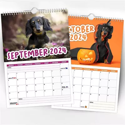 2024 Calendar Cheeky Dachshunds Funny Cute Dog Wall Calendars Home Decor Gifts • £7.79