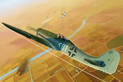 1:48 Focke-Wulf Fw190D-11 Aircraft Model Kit • $23.99