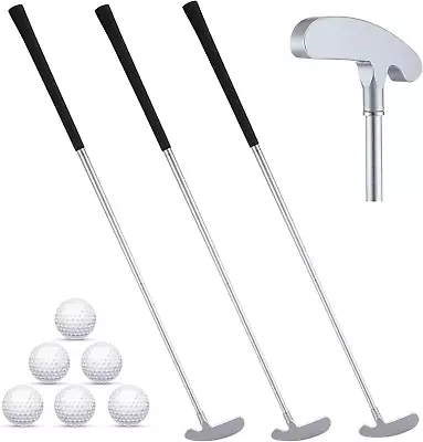 3 Sets Golf Clubs Mini Two Ways Golf Putter Golf Clubs Set For Men Women Kids • $63.99