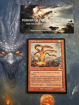 Molten Hydra Played - MTG - Urza's Legacy • $1.50