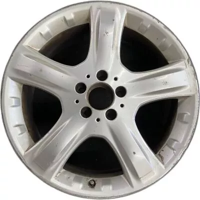 Mercedes-benz Silver ML-CLASS R-class OEM Wheel 19” Factory Rim Original 65369A • $189.97