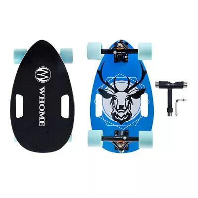 17  Mini Longboard Cruiser Skateboard Complete T-Tool Included • $49.99