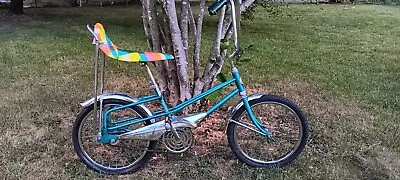 Murray Eliminator Vintage 20  Bicycle • $399
