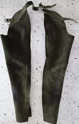 Barnstable Riding Dark Olive Green Suede Leather Full Chaps Children Size 10 USA • $18.99