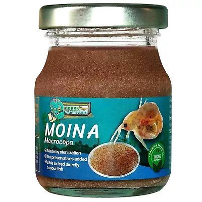 Moina Macrocopa (Water Flea) Sterilized Jar For Medium & Small And Newborn Fish • $15.99