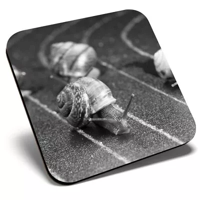 Square Single Coaster Bw - Racing Snails Race Funny Insect Snail  #43556 • £4.99