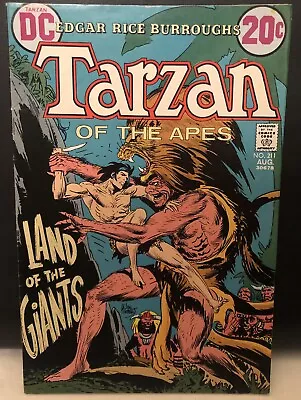 Tarzan #211 Comic DC Comics Bronze Age • £6.99
