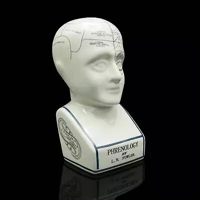 Vintage Phrenology Head Ornament English Ceramic Decorative Bust Circa 1970 • $857.04