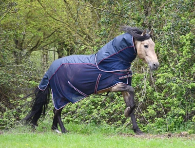 £41.95 • Buy SALE Waterproof Top Fly Rug With Neck Cover Rhinegold Mombasa Horse Pony