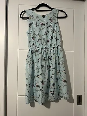 Zara Trf Dress Summer Powder Blue Bird Print Size Medium Sold Out Blogger • £15