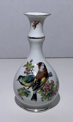 MEISSEN PORCELAIN BIRDS & INSECTS VASE MARKED Hand Painted Cancellation Lines • $159