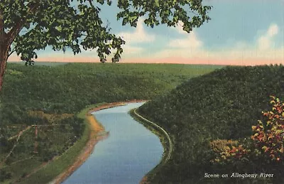 Allegheny River Near Oil City Pa. C.1940's Linen Postcard A232 • $6.95