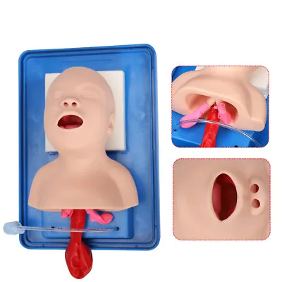 $84.55 • Buy Baby Intubation Manikin Study Teaching Infant Model Airway Management Trainer 