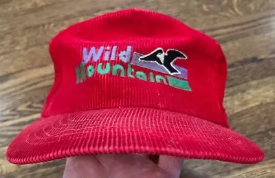 Wild Mountain Hat Snapback Corduroy VTG 90s Ski Snowboard Embroidered Cap • $20
