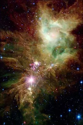 Poster Many Sizes; Nebula Ngc 2264 • $160.11