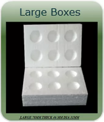 10 X 6 HOLE  LARGE POLYSTYRENE EGG BOXES HATCHING/INCUBATION CHICKEN /Ducks • £17