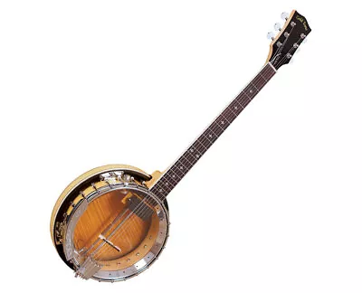 Gold Tone Professional 6-String Banjitar - B-Stock • $929.99