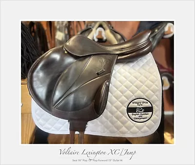 Voltaire Lexington Jump/XC Saddle. 18” M • $2650