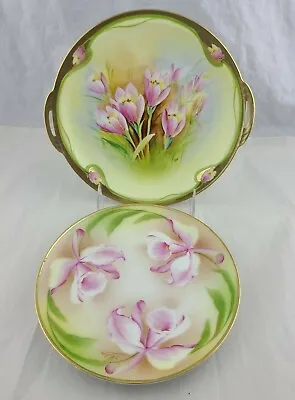 $34.99 • Buy Vintage Hand Painted Pink Floral Prussia Plates Lot Of 2