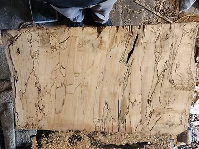 #4 Live Edge Spalted Maple Wood Slab Figured Rustic Natural Edge.  Wood Turning • $55