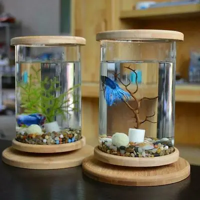 $29.70 • Buy Glass Aquarium Bamboo Base Mini Fish Tank Decoration Bowl Accessories TZS0