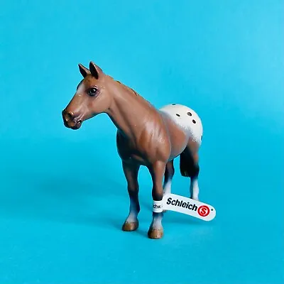 £12 • Buy Schleich 2003 Retired 13271 Appaloosa Stallion Horse Toy Figure New With Tag! GC