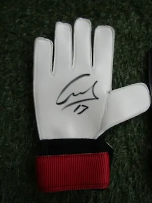 £17.99 • Buy Vicente Guaita Hand Signed Adidas Goalkeepers Glove - Crystal Palace Autograph